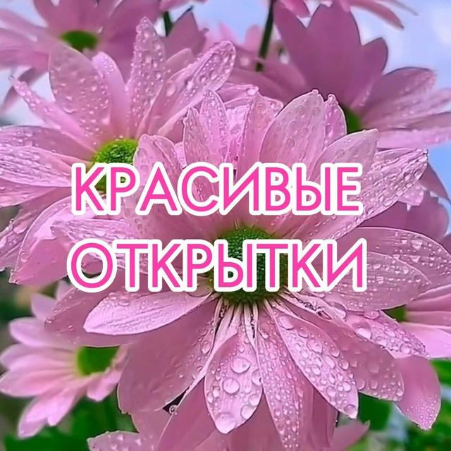 Красивые Открытки🌸