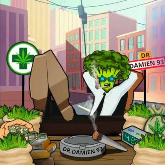 DR DAMIEN93