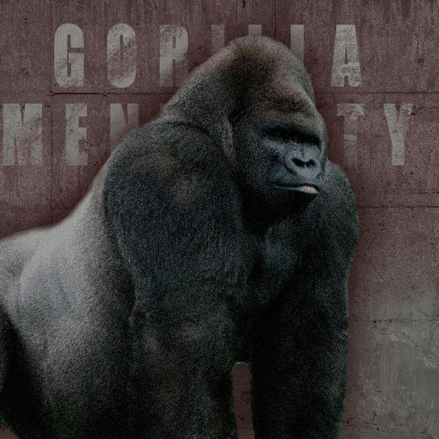 GORILLA MENTALITY