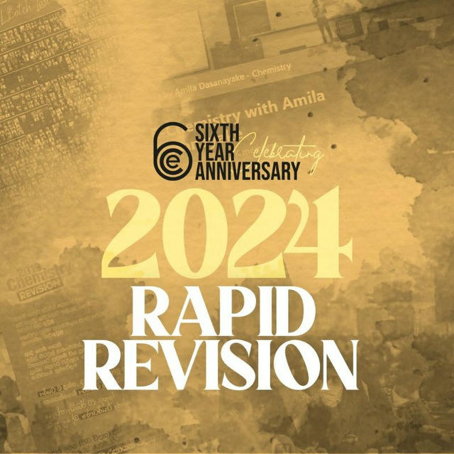 2024 Rapid Revision | Echem