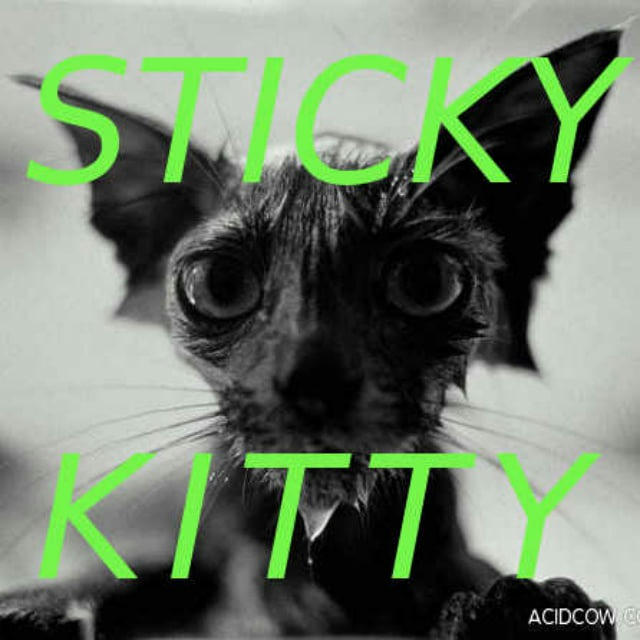 Sticky Kitty International