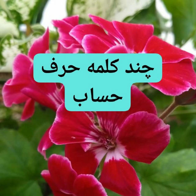 چند کلمه حرف حساب