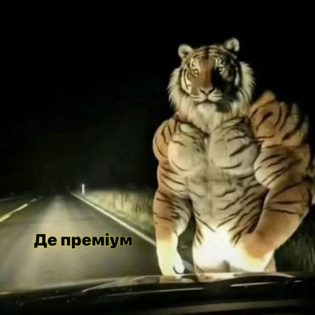 Розіграші телеграм преміум і зірок