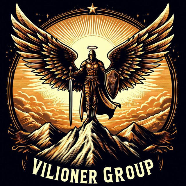 VilionerGroup