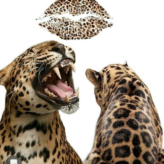 شهوده العسولة💅🏻