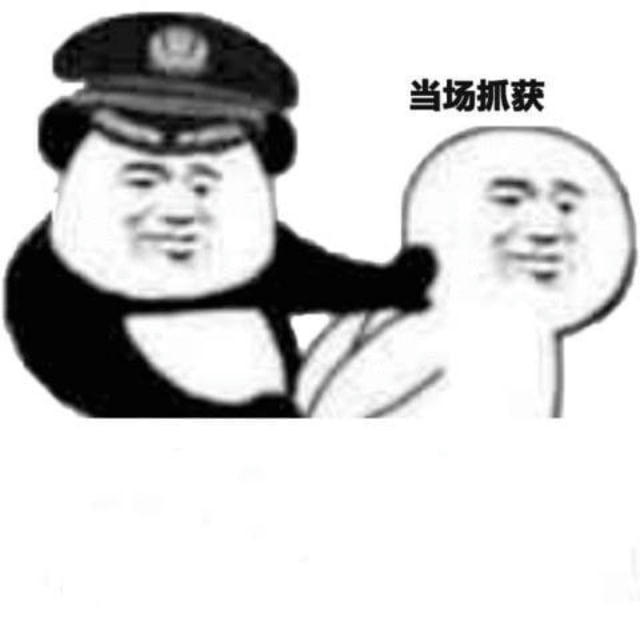 老司机/强奸/迷奸/捡尸/乱伦/