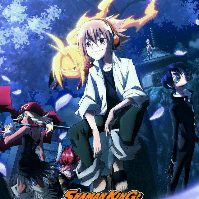 SHAMAN KING FLOWERS VF,VOSTFR