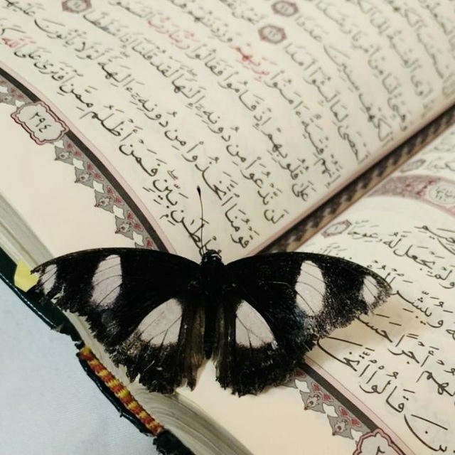 وَيـبَـقى آڶأثَـــݛ︙❤️‍🩹🦋