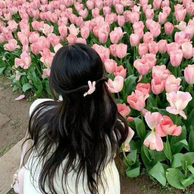 •.°🇰🇷🌷𝑲𝒐𝒓𝒆𝒂𝒏𝒌𝒂🌷🇰🇷°.•