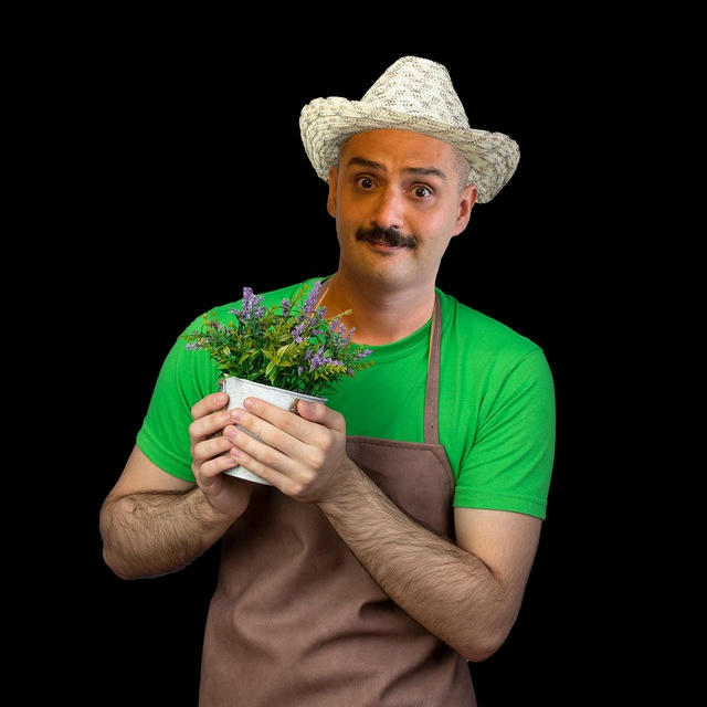 نوئين گاردن