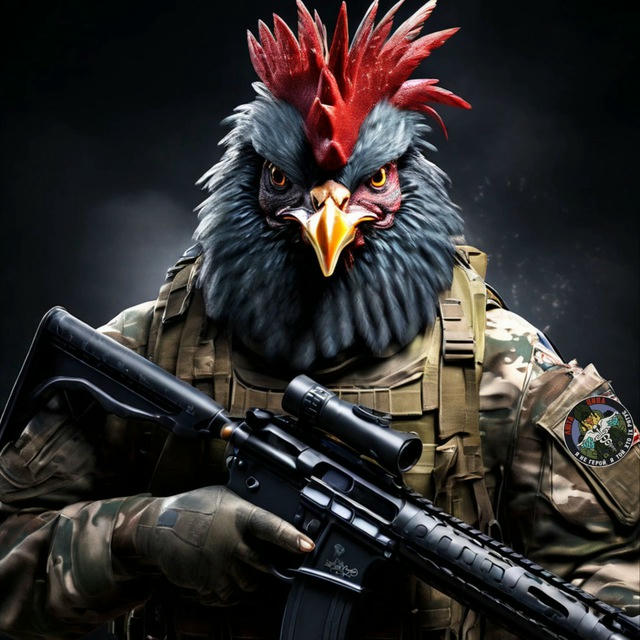 Док 🥷 Лютої 🐥 «ЦИПИ»