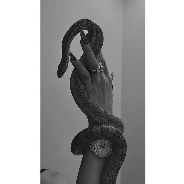 ​​​​​​​​​​​​​​​​​​​​​​​​​​​⌯ 𝐇𝐁 || 🐍ﻟࢦِٰـِۦـِ؏ـۦـِنـِ ـة ⌯