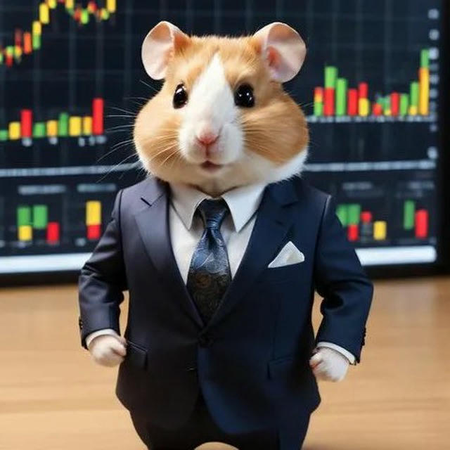 Hamster listing Hunter 🐹