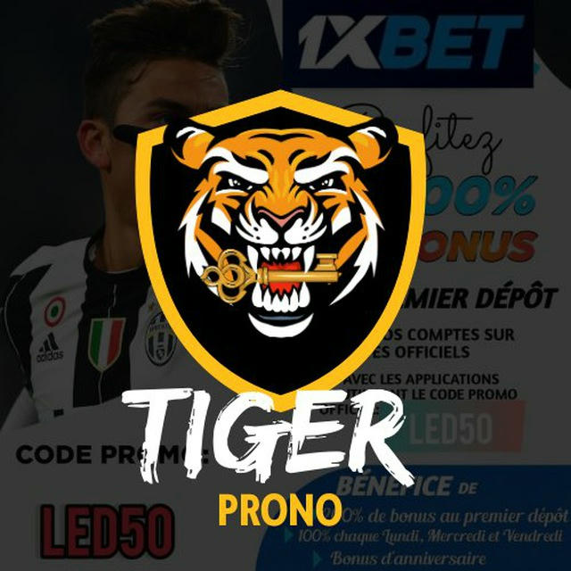 TIGER PRONO 🐅