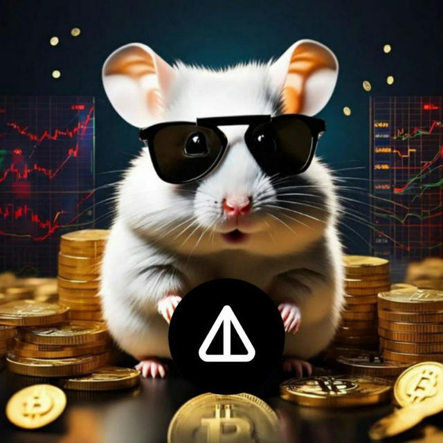 Elect💲 Hamster Combo - NotCoin
