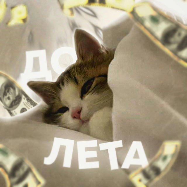 до лета