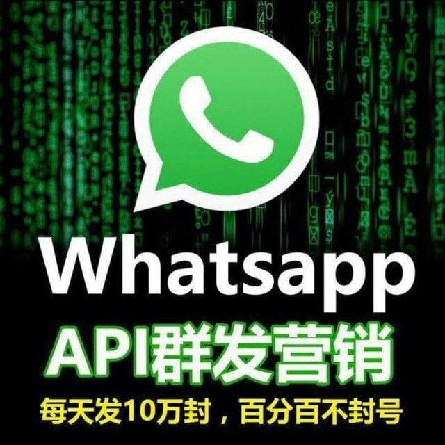 ws群发 Whatsapp群发 ws超级号