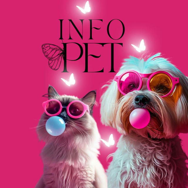 Info_Pet