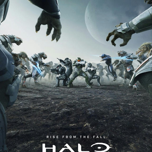 Halo Series