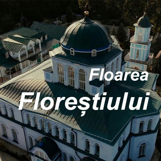 Флорешты 🌸 Floarea Floreștiului