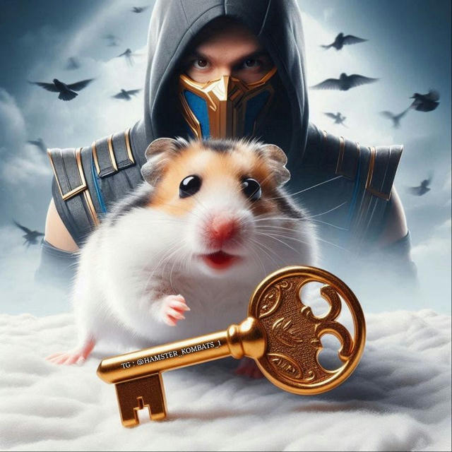 Hamster kombat codes key