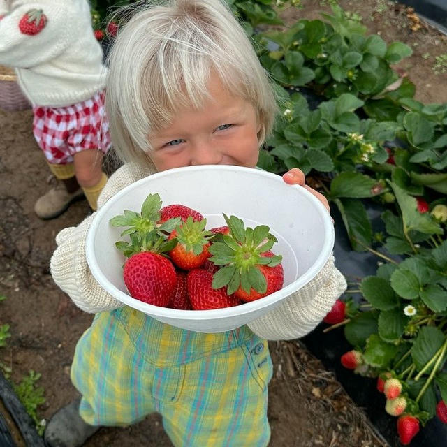 ارایشی توت فرنگی🍓