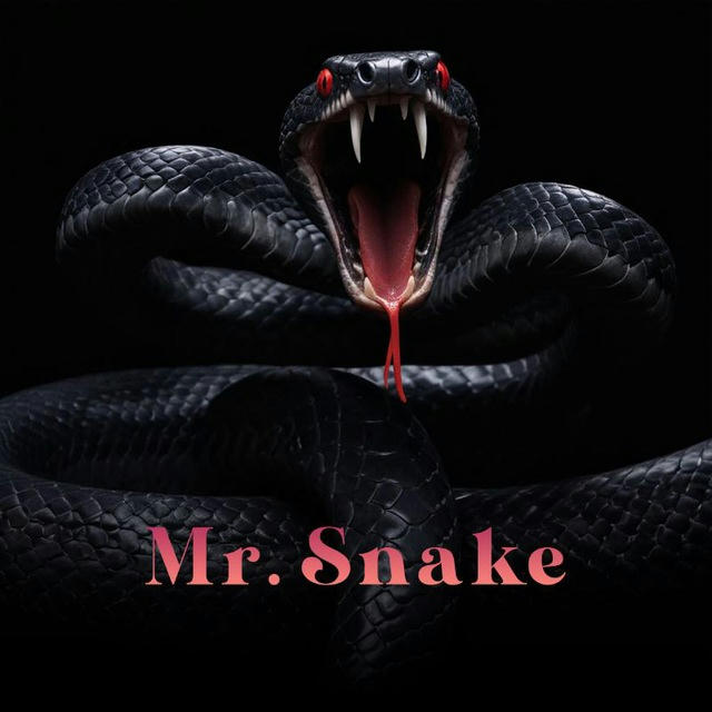 [Mr snake] massage , oil massage &b2b review channel