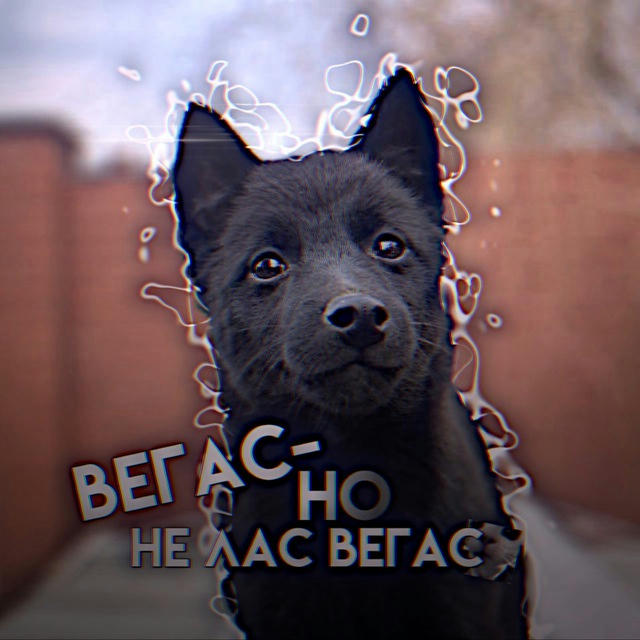 Вегас-но не лас Вегас