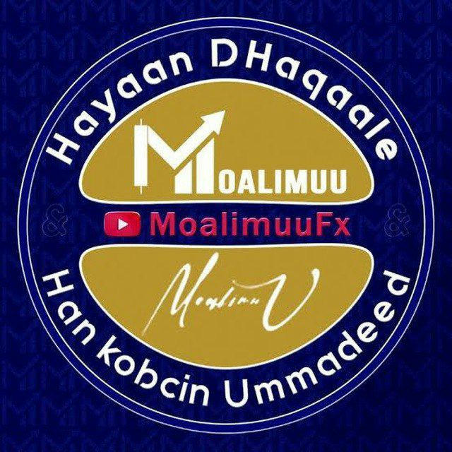 Moalimuu Fx Official™