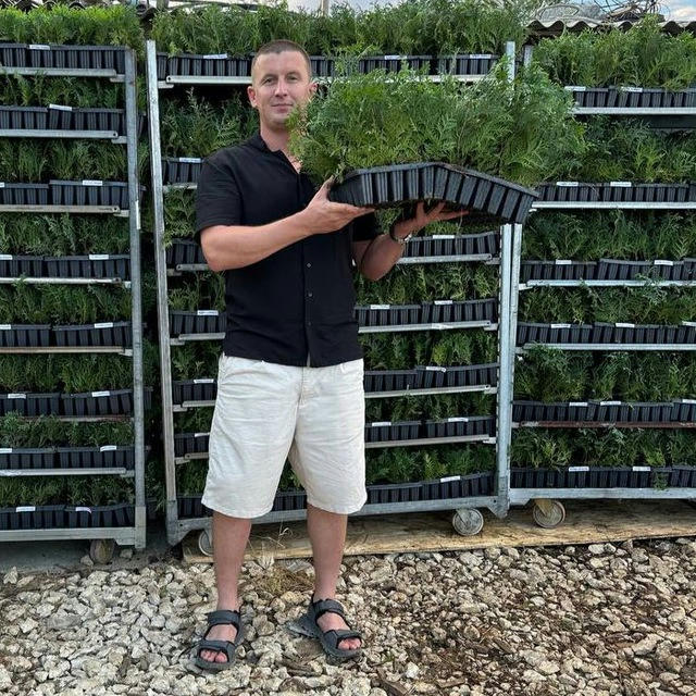 Хвойная Россия 🧑‍🌾🌲