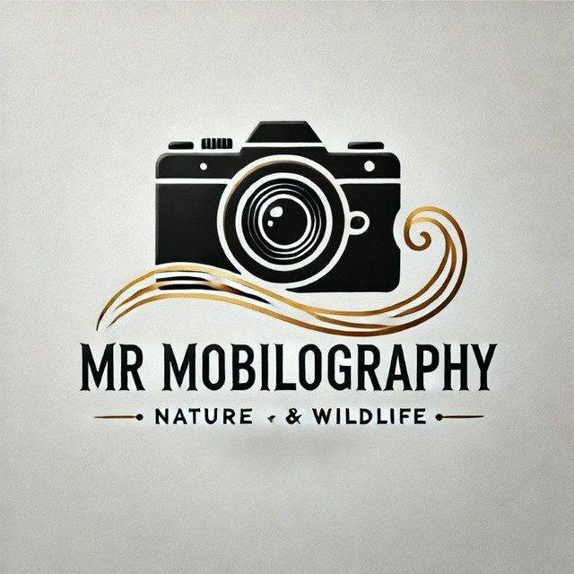 Mobilography
