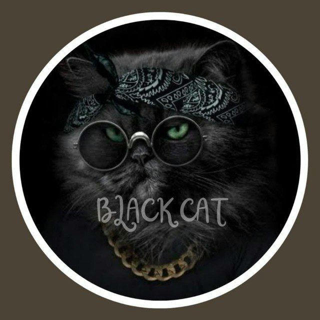 BLACK CAT BACKUP 🇲🇨
