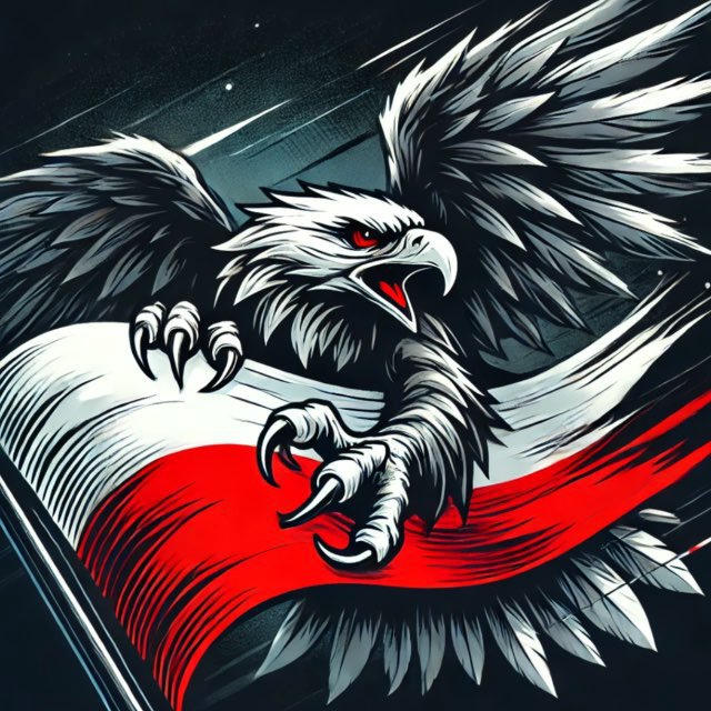 Elitarna Polska News