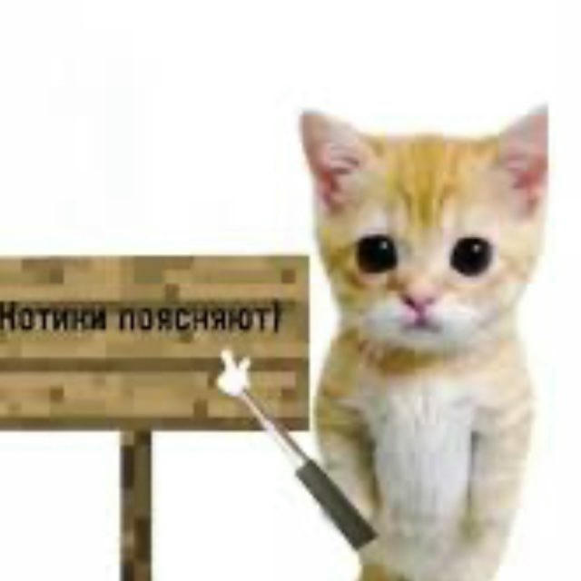 Котики объясняют ✍️